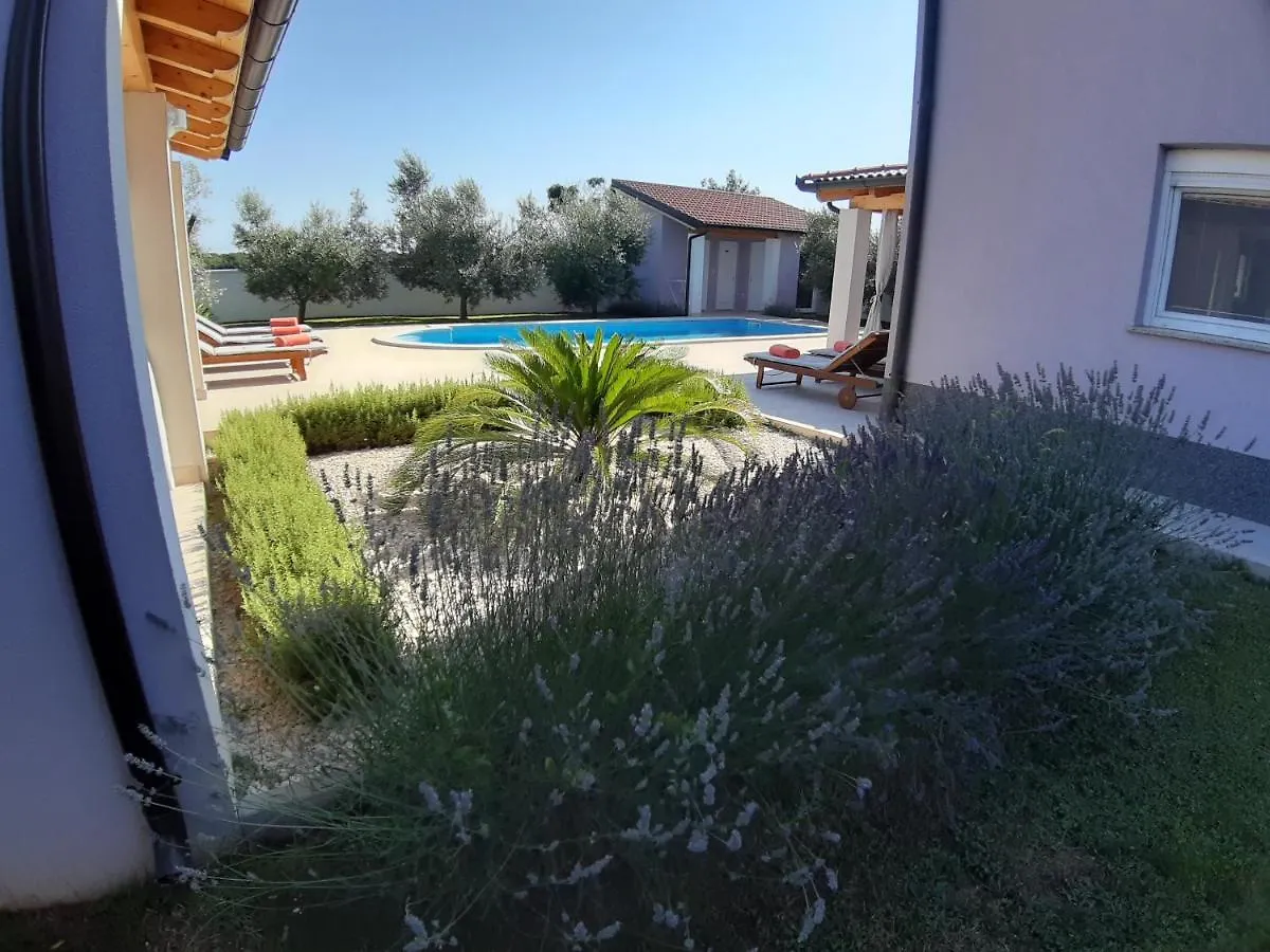 Villa Zeus Pula Holiday home